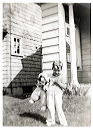 1941_circa_chester_09