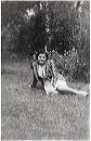 1941_circa_rose_tony_jr_01